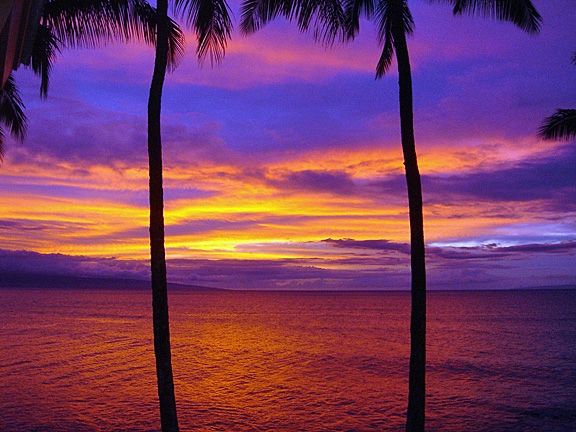 VRBO® | Polynesian Shores, Honokowai Vacation Rentals