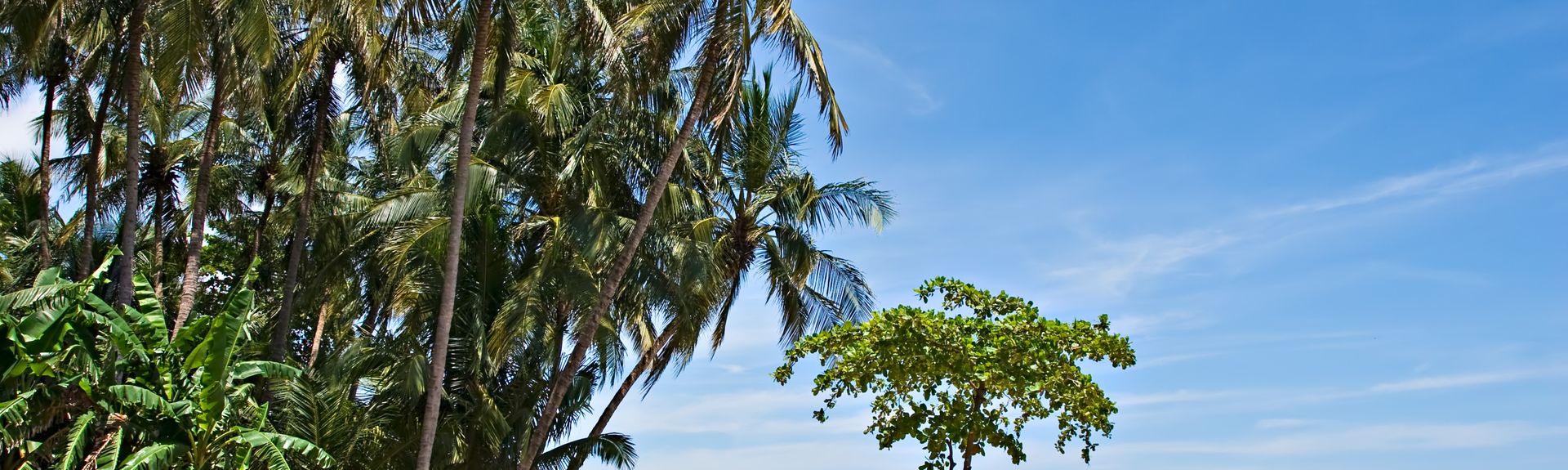 Top Tamarindo Beachfront Vacation Rentals From 59 Night Vrbo