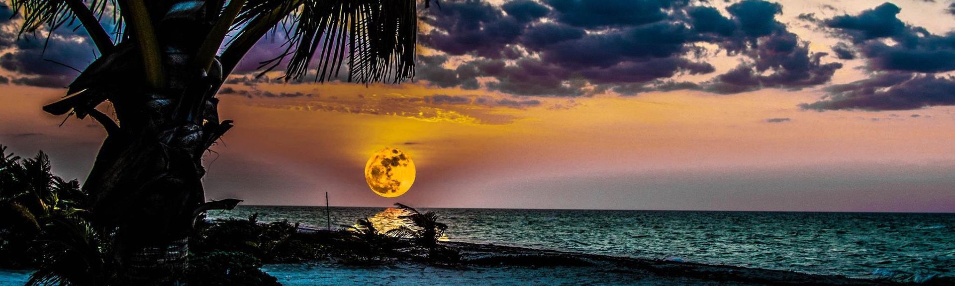 Resultado de imagen para yucatan full moons