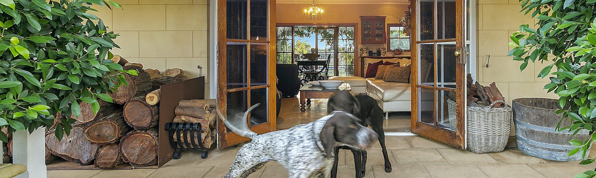 holiday homes with pets