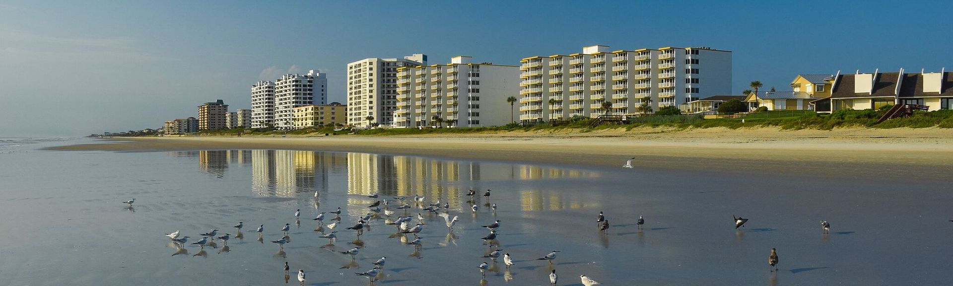 Top New Smyrna Beach Fl Pet Friendly Vacation Rentals From 95 Night Vrbo