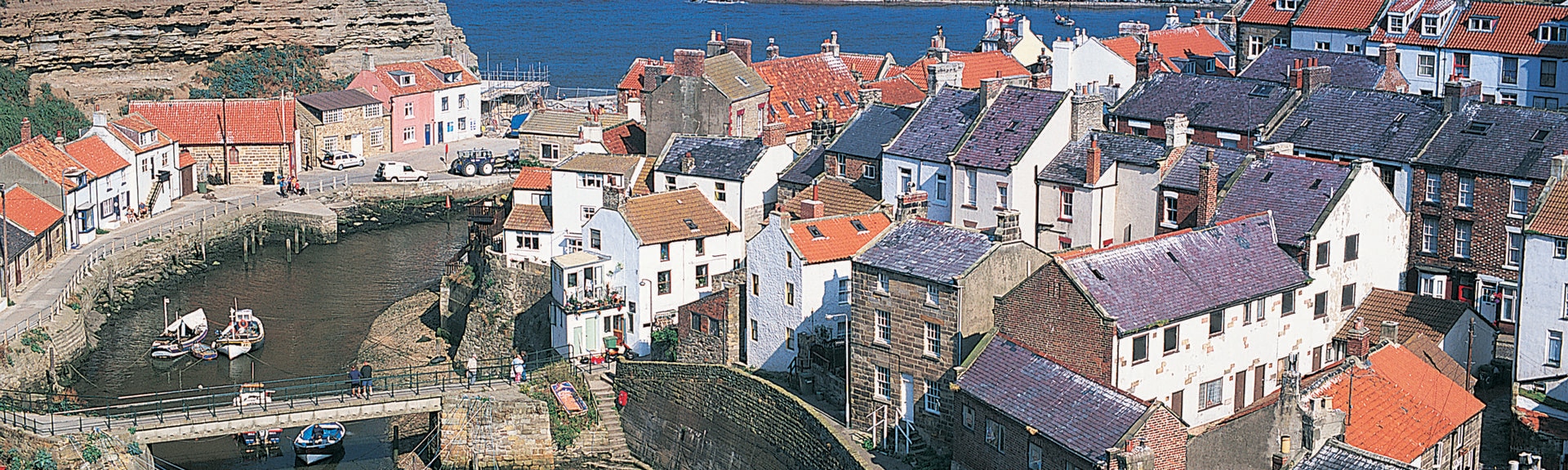 dog friendly cottages in north yorkshire coast